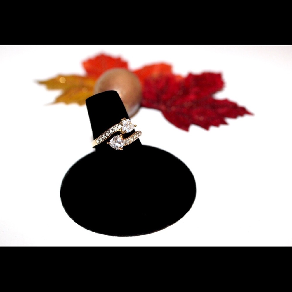 Crossing Hearts NWOT